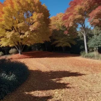 Title image for Autumn