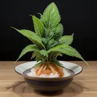 Title image for Pork and Shiso Leaf Tempura